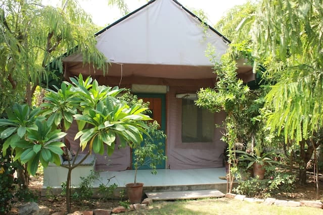 Photo of Organic Farm & 