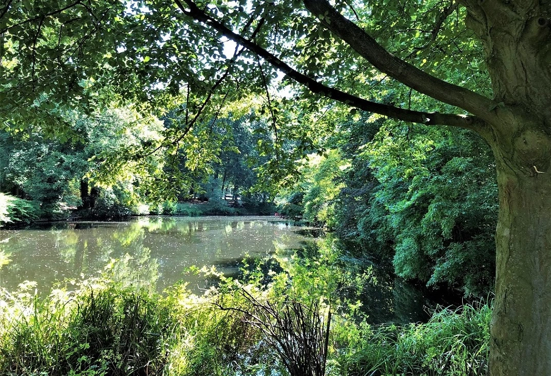 Photo of Tiergarten