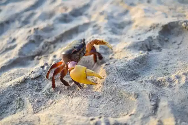 Photo of Best Places To 