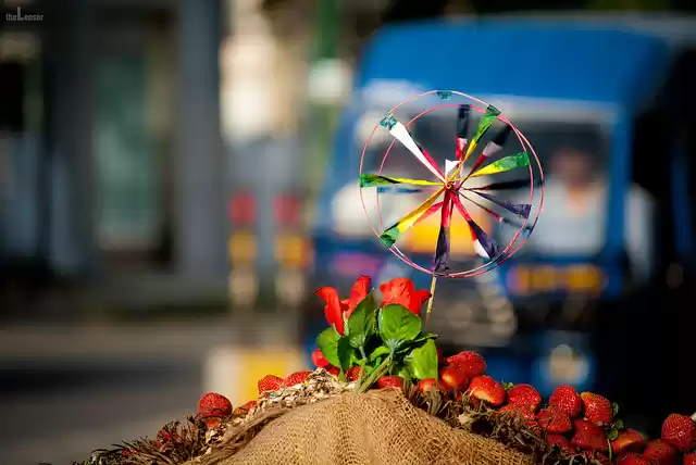 Photo of Things To Do in