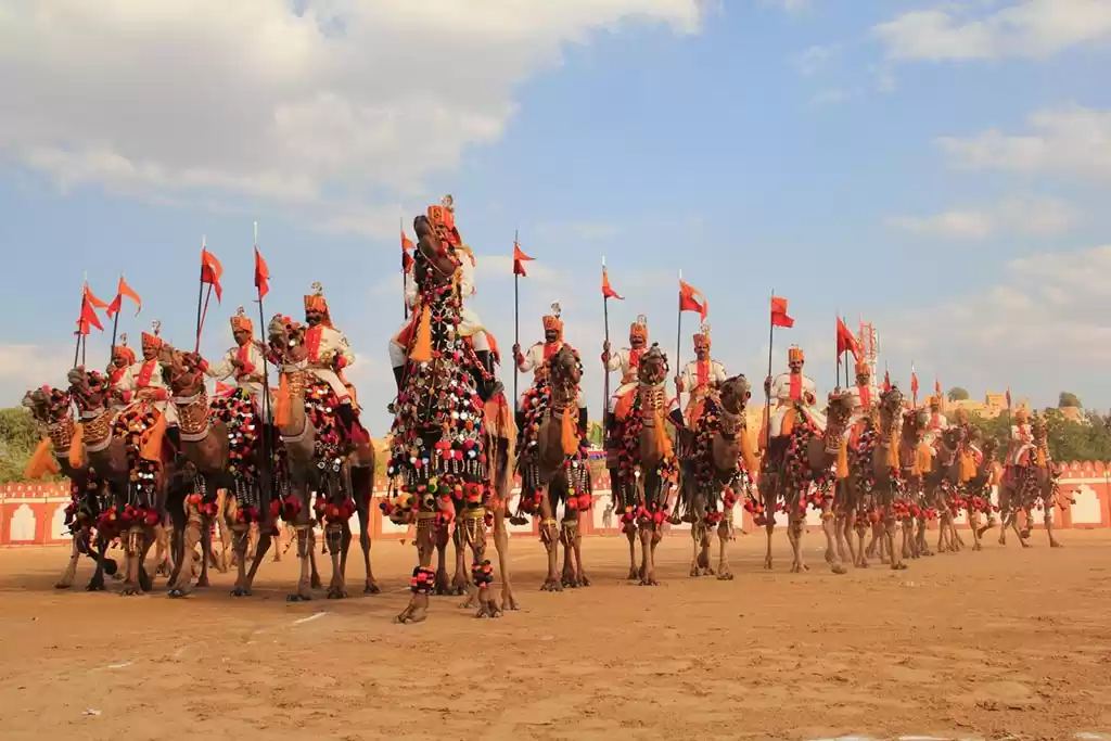 Photo of Camel Festival,