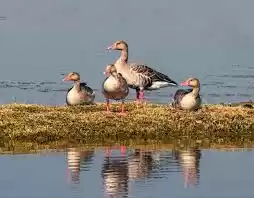 Photo of Bird Sanctuarie