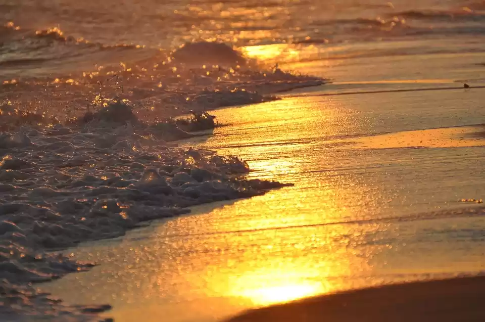 Photo of Sandy Shores, M