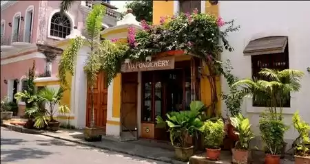 Photo of The French Capi