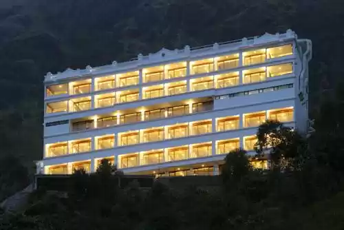 Photo of Plum Judy – The