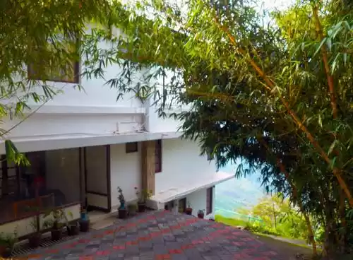 Photo of Green Magic Hom