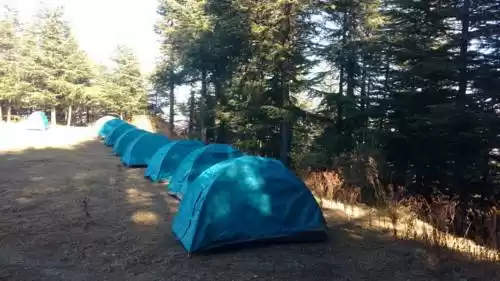 Photo of Trimurti Pine V