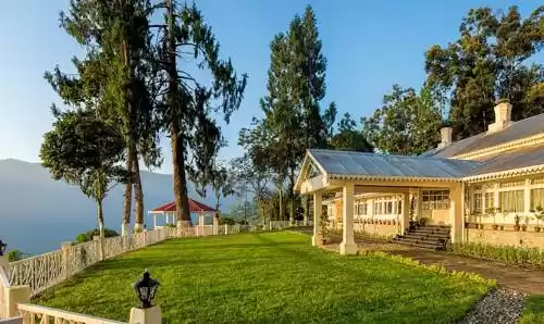 Photo of Ging Tea House