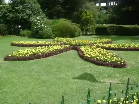 Photo of Things To Do In