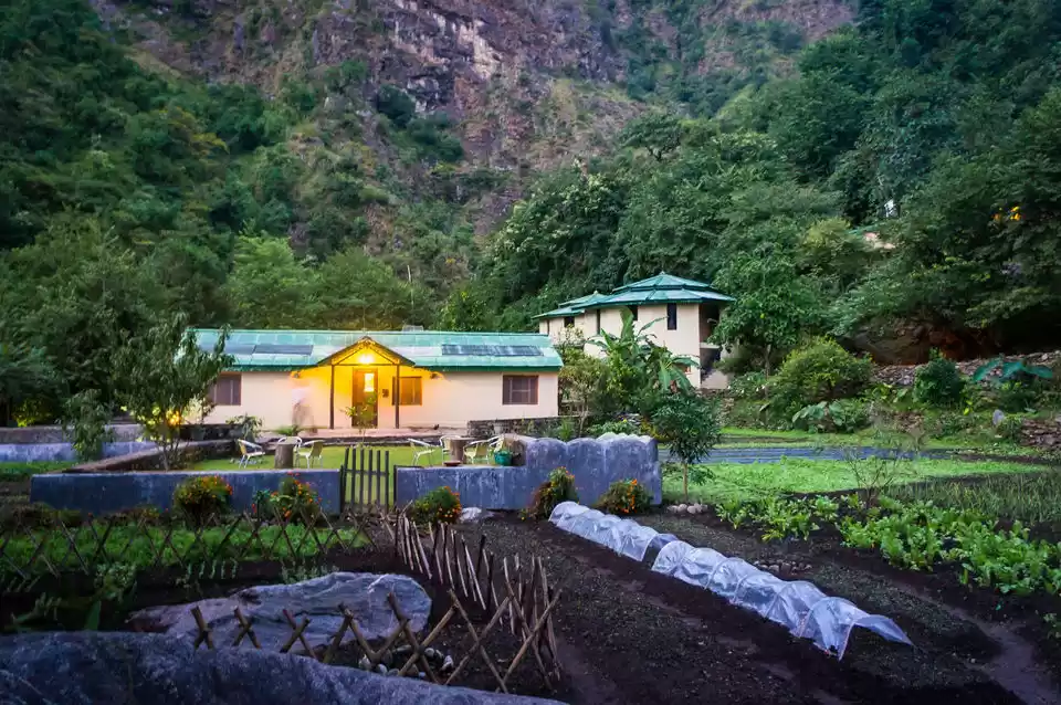 Photo of Solitude by the