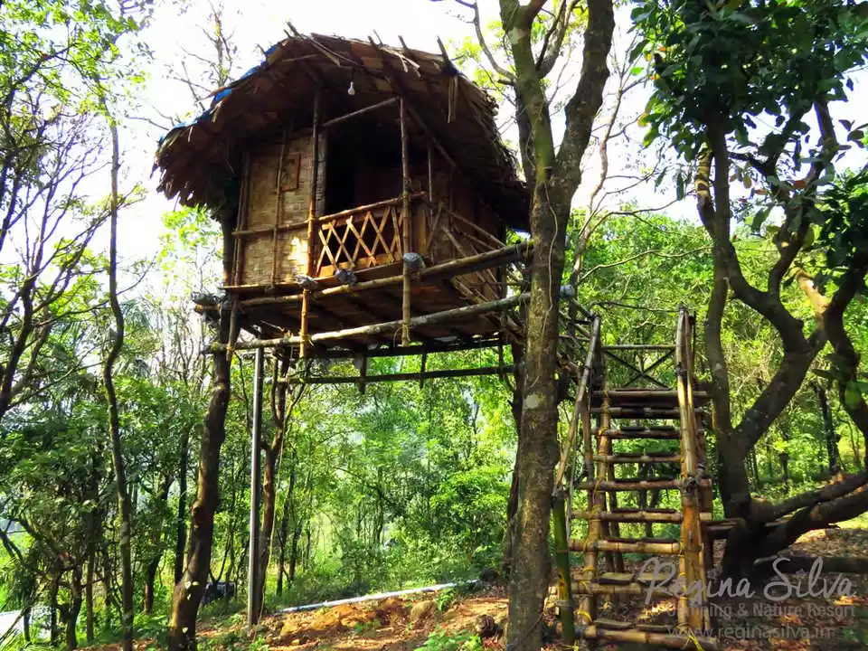 Photo of ReginaSilva: Tr