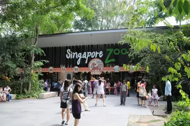 Photo of Singapore Zoo
