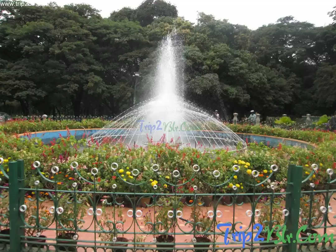 Photo of Cubbon Park