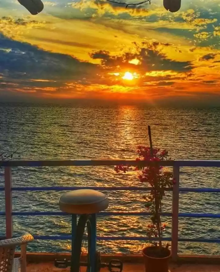 Photo of Purple Martini