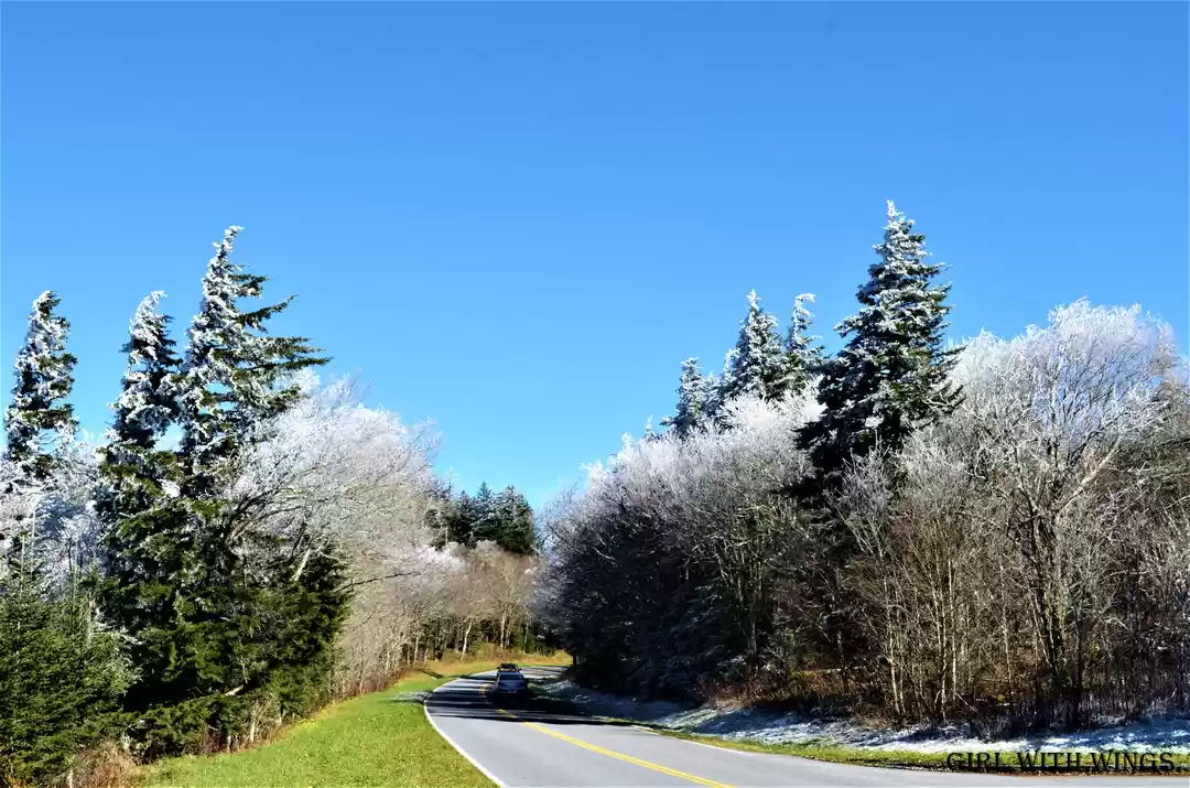 Photo of Clingmans Dome