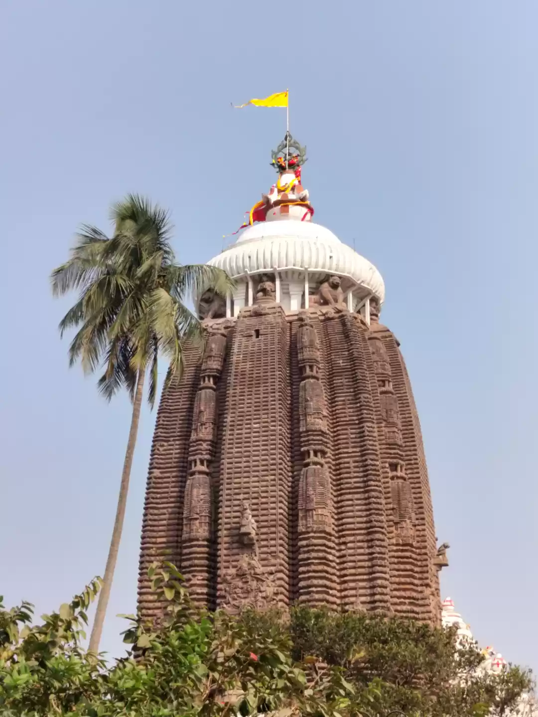 Photo of Puri- A City Held To