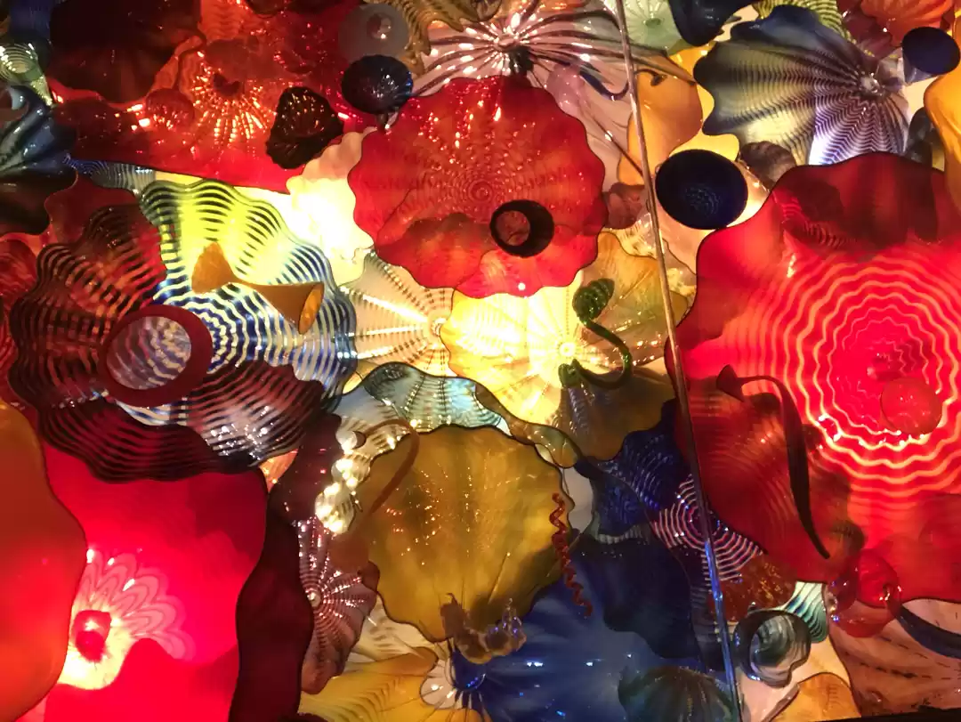 Photo of Chihuly Garden and Glass