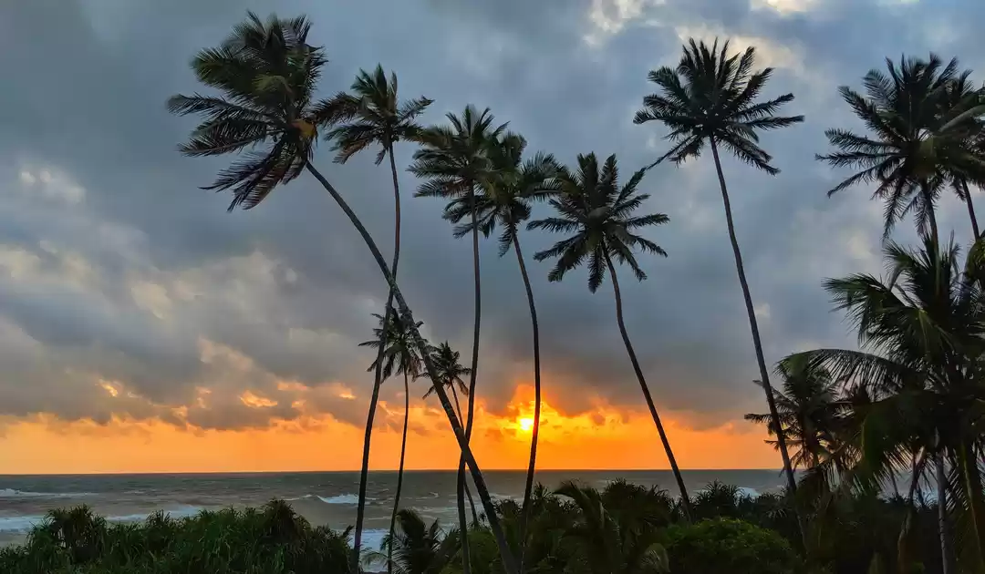 Photo of Galle