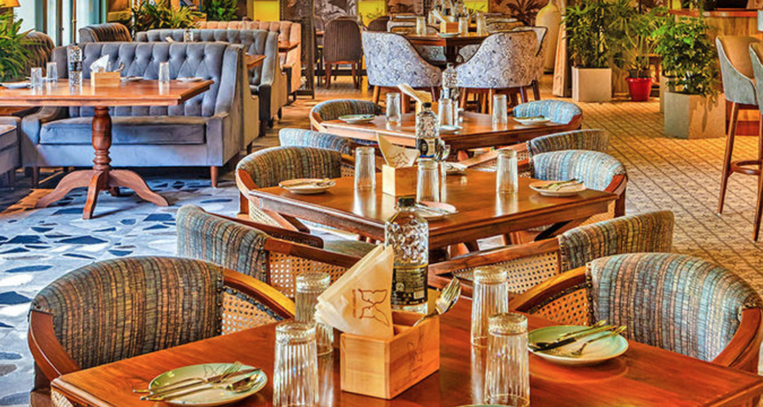 Photo of Butterfly High: Wher