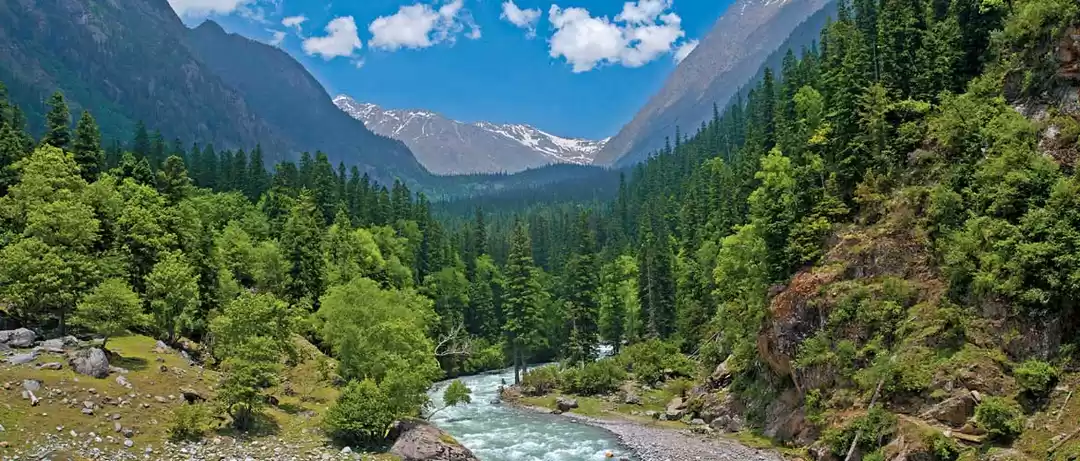 Photo of Rupi-Bhaba Wildlife