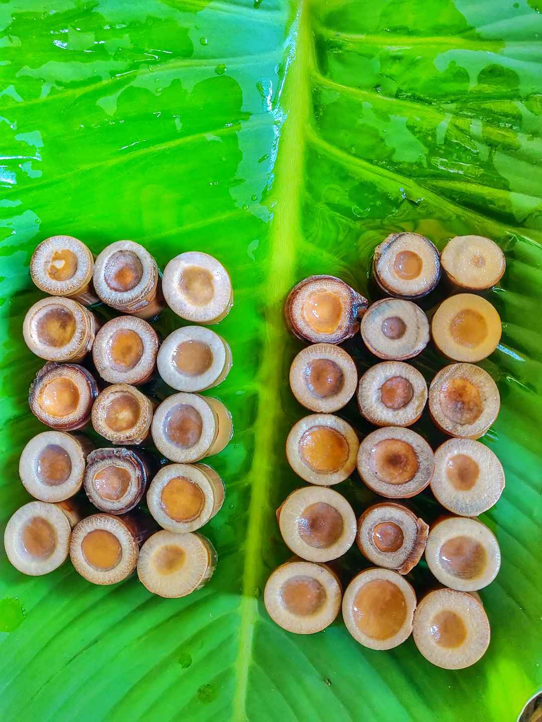 181 Places To Visit In Sabah To Make The Most Of Your Trip | Tripoto