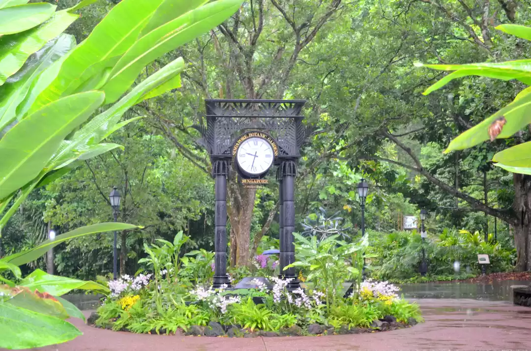Photo of Singapore Botanic Gardens