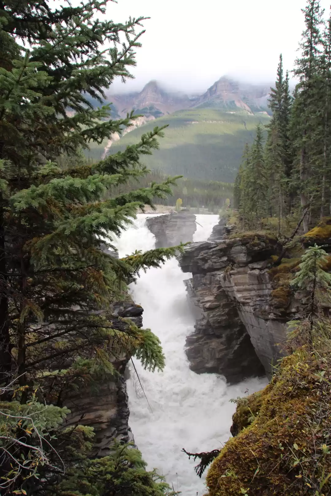 Photo of Athabasca Falls