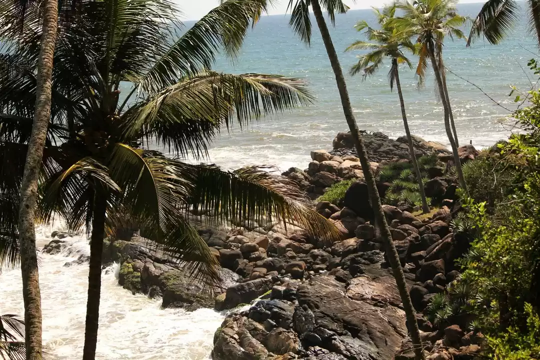 Photo of Kovalam Beach