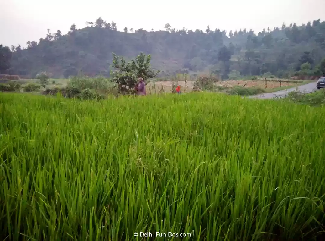 Photo of Morni Hills