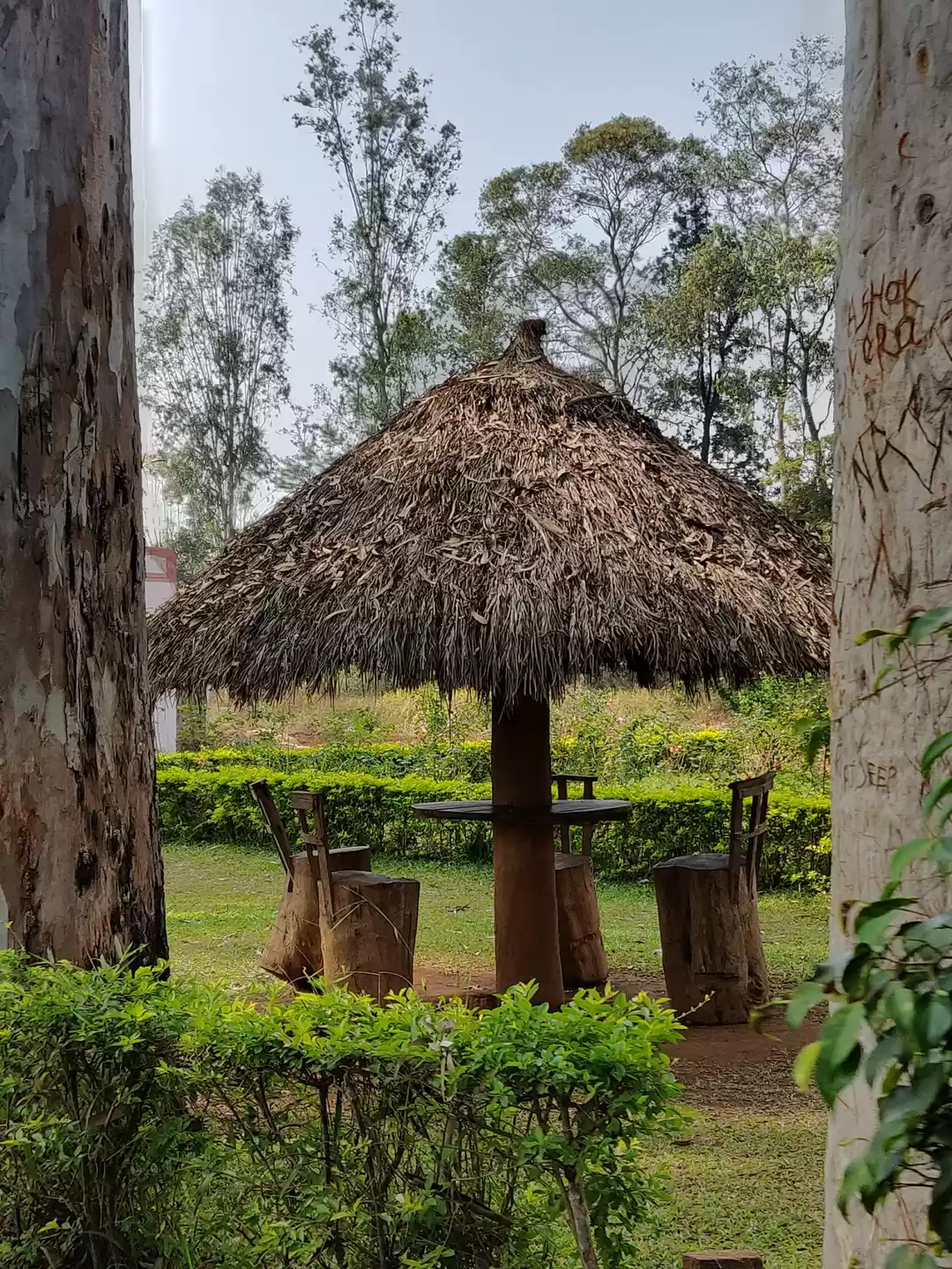 Photo of Padmapuram Garden