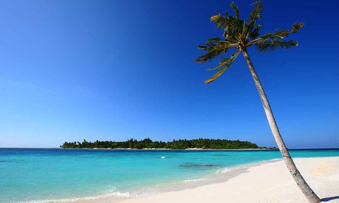 Photo of Weekend In Goa 3N/4D