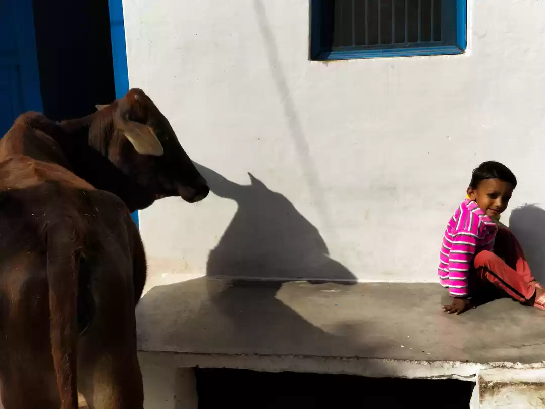 Photo of Brahma Temple