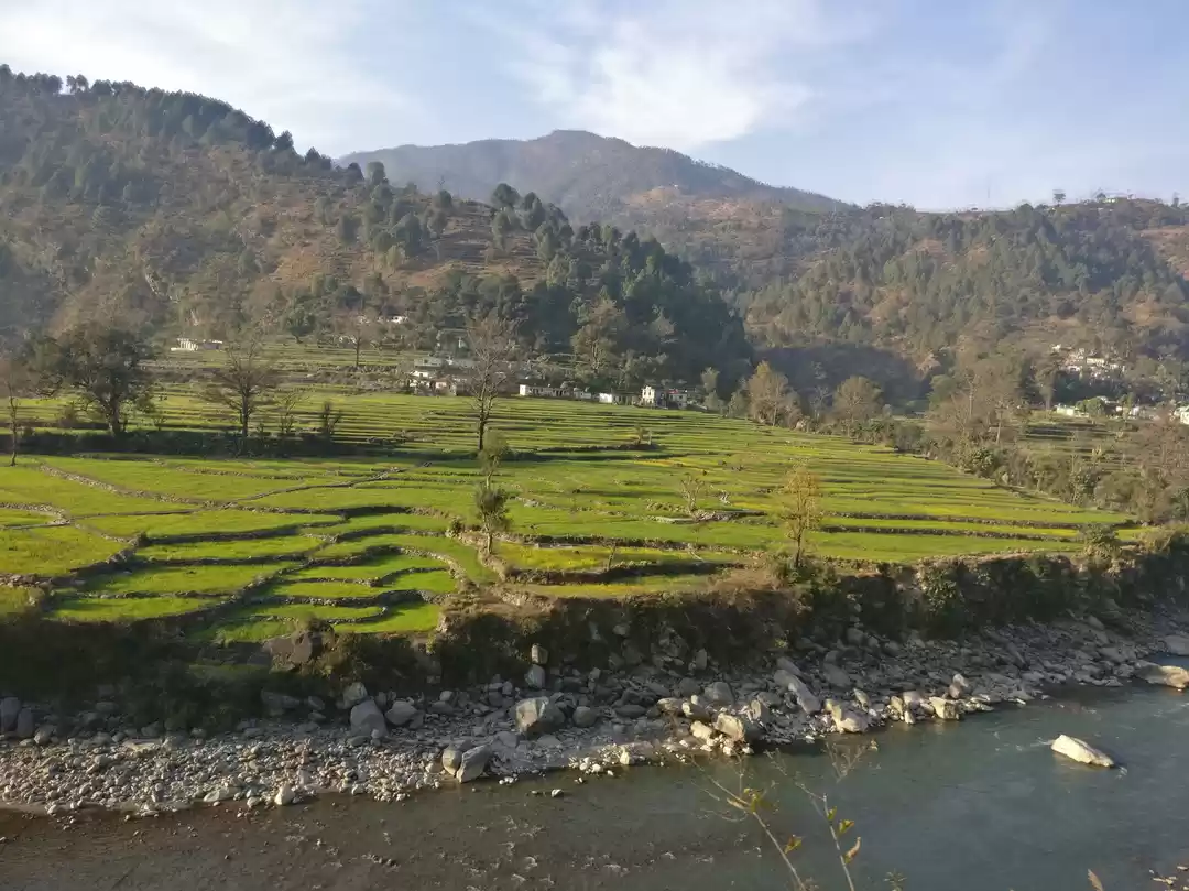 Photo of Ukhimath - Chopta - Gopeshwar Road