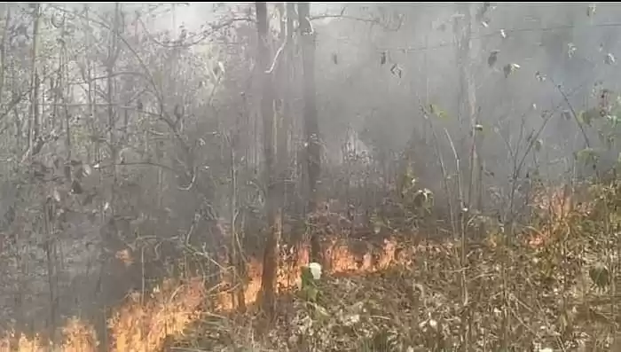 Photo of Similipal National Park