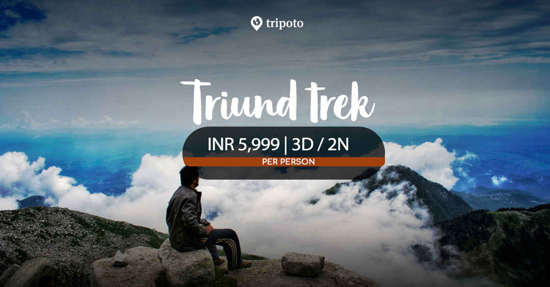 Photo of Triund Trek