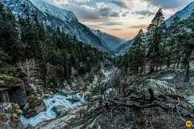 Photo of Travel to Bhutan (Ex Delhi)