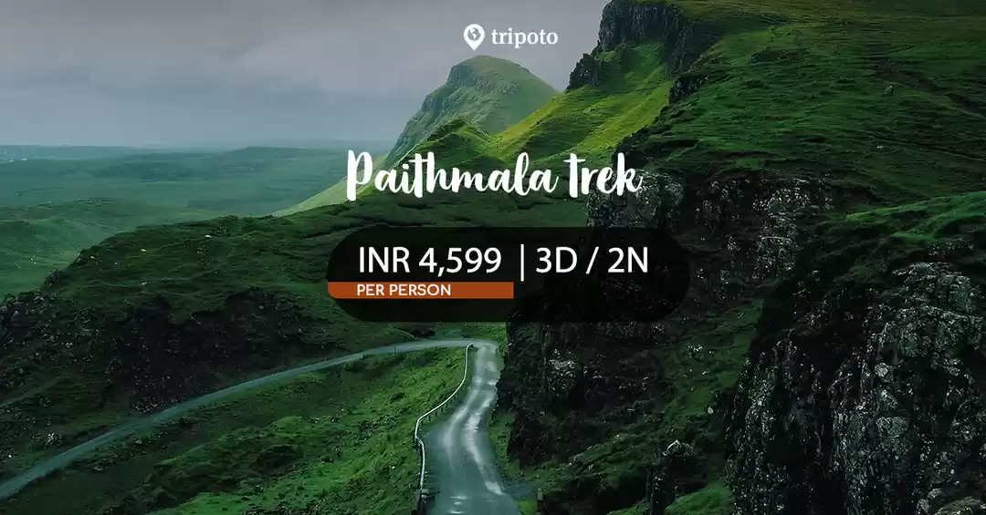 Image 1 of Paithalmala Trek