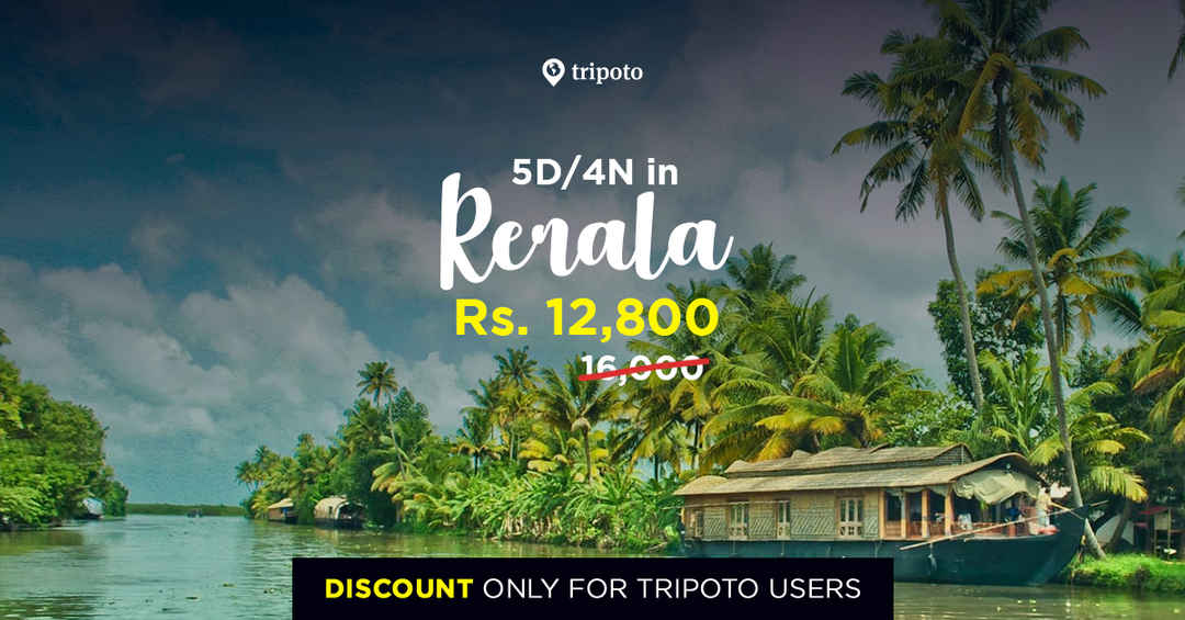 Photo of 5 Days in Kerala (Discounted Honeymoon package For Tripoto Bloggers)