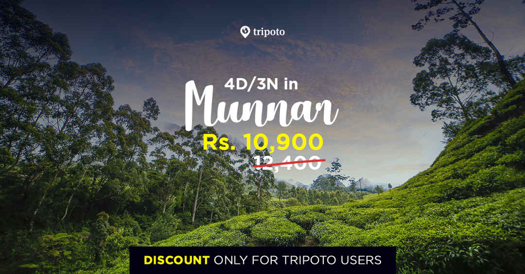 Photo of 4 Days in Munnar (Discounted Package For Tripoto Users)