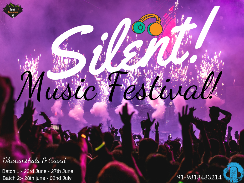 Image 1 of The Burn Out Silent Music Festival 
