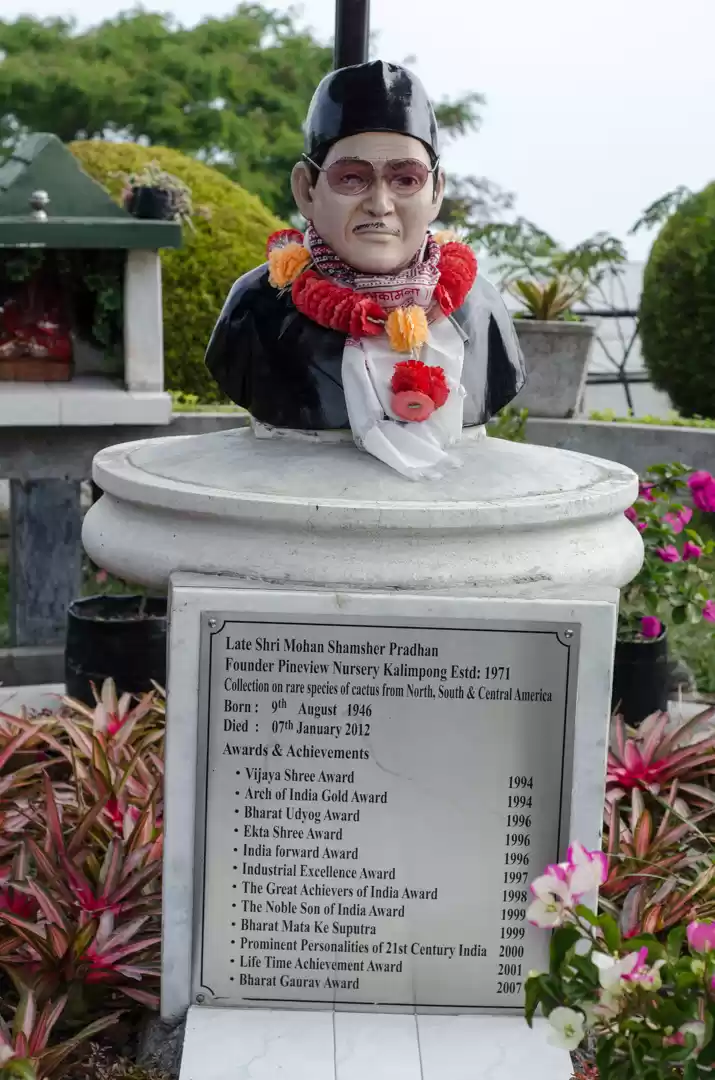 Photo of Pine View Nursery