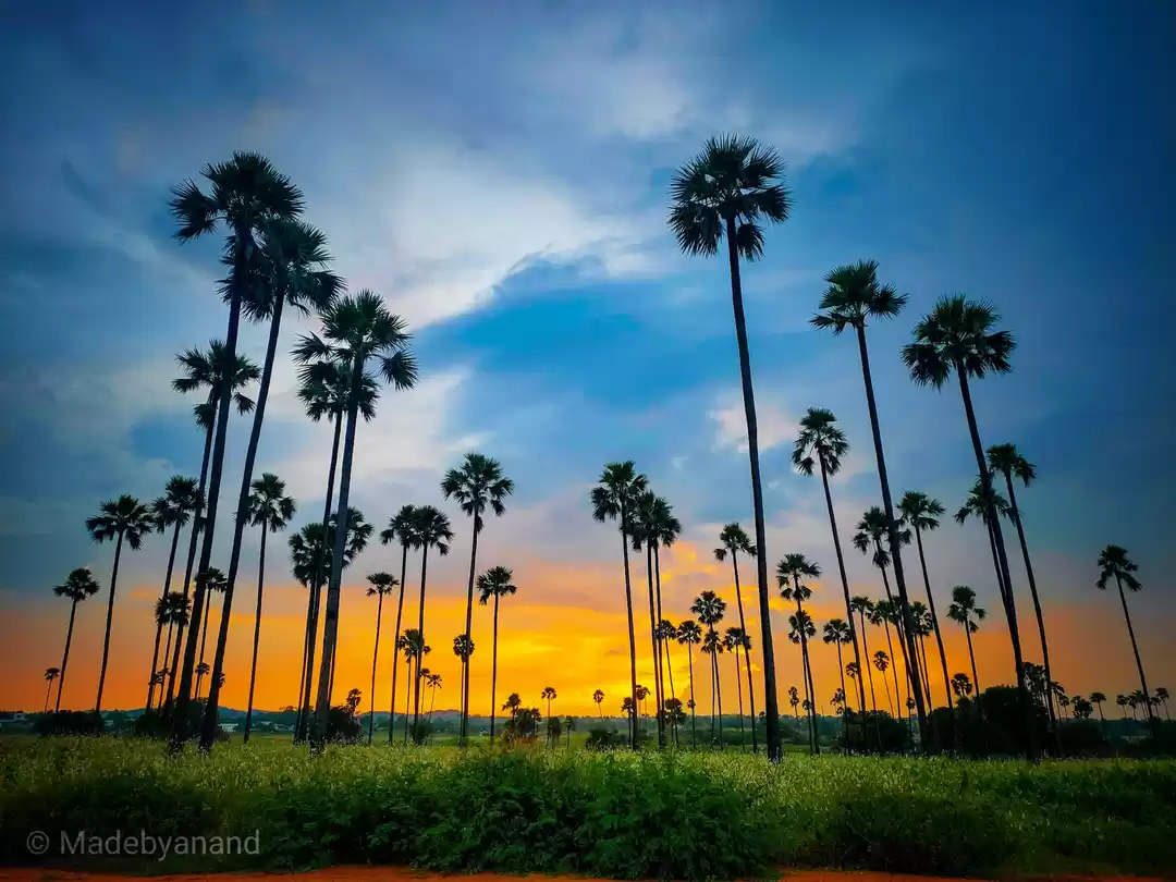 Photo of Rachakonda Fort