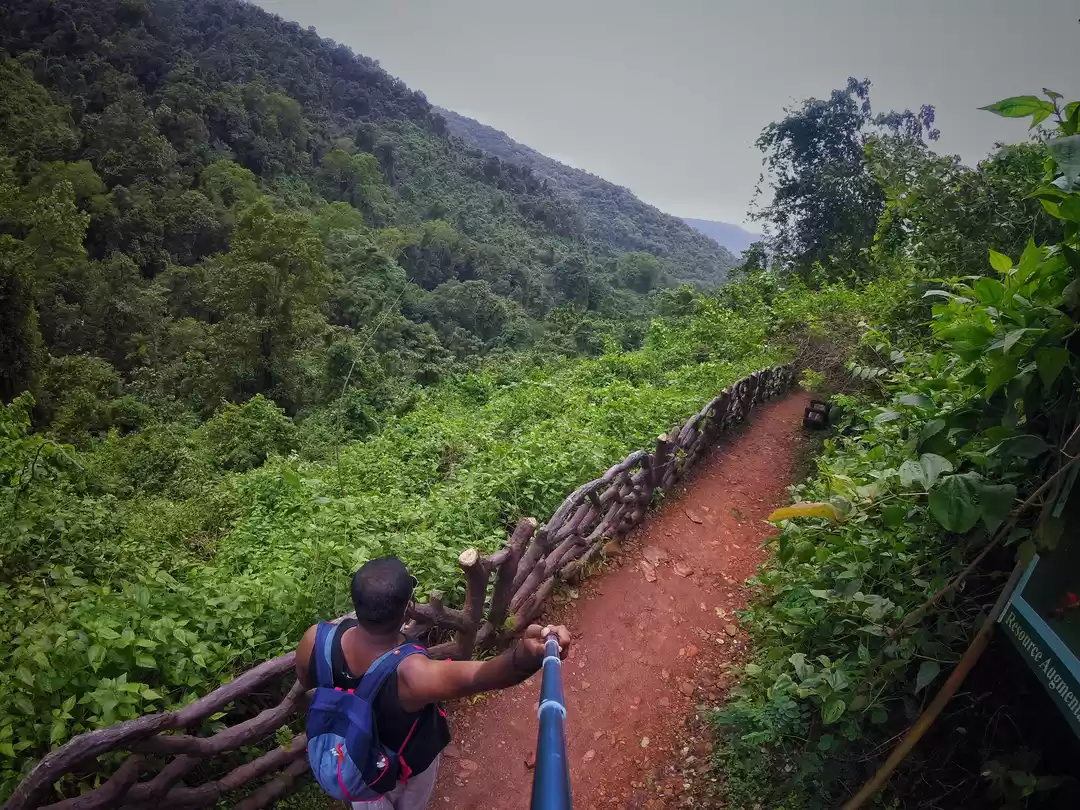 Photo of Vibhuthi Falls