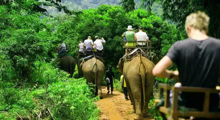 Photo of जिम कॉर्बेट: वी