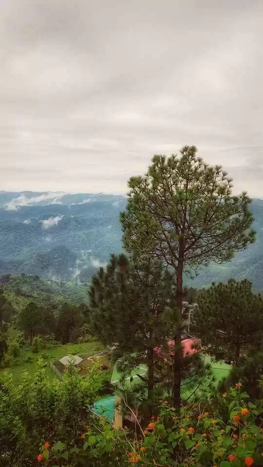 Photo of मॉनसून में वीके