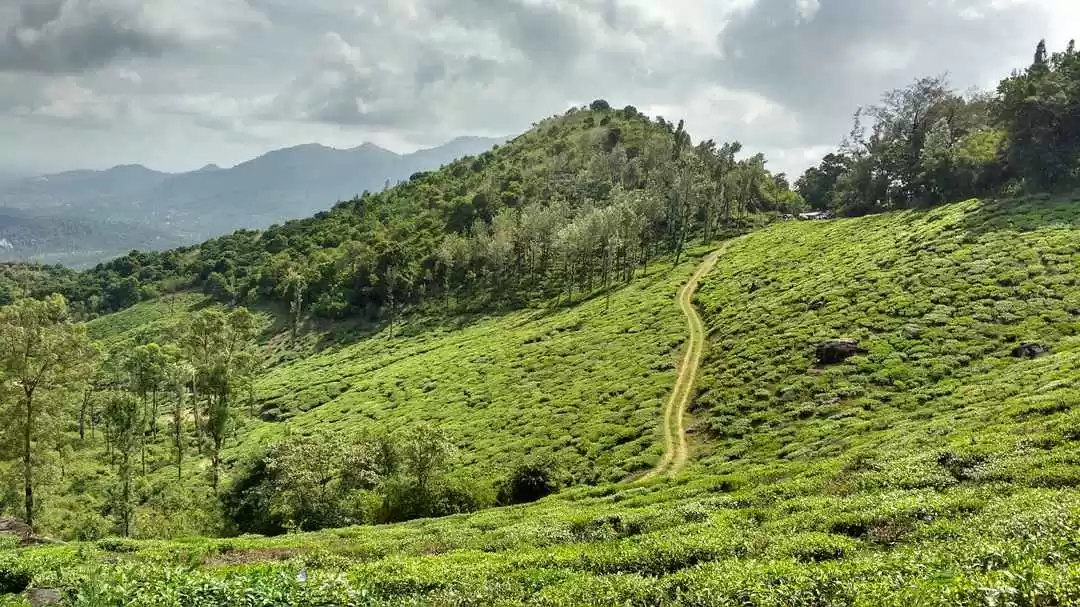 Photo of बैंगलोर से वायन