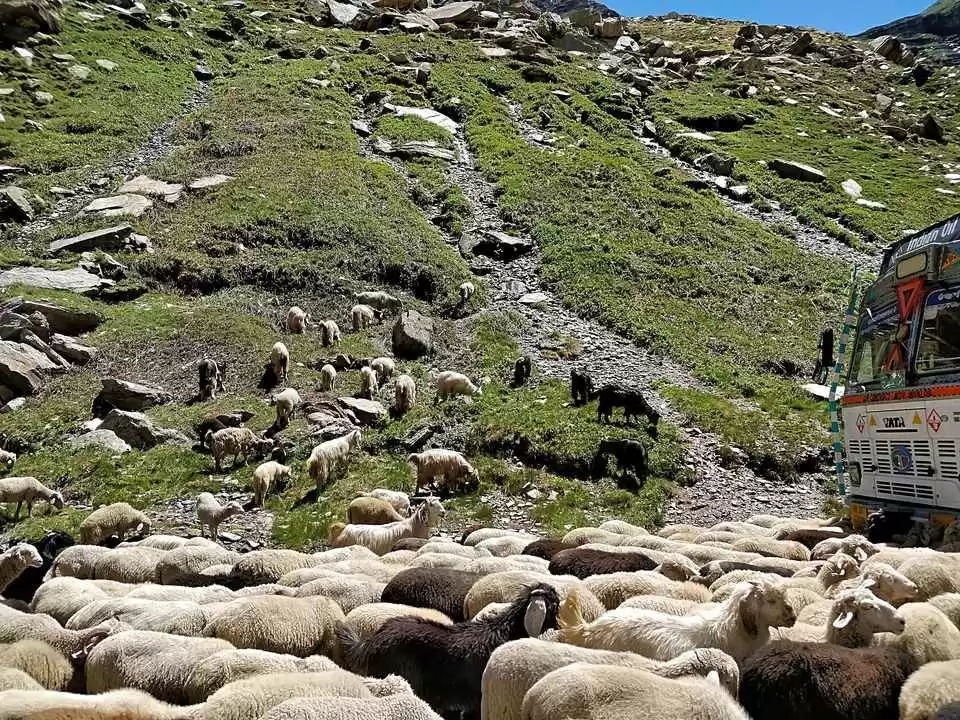 Photo of हर मुसाफिर की च