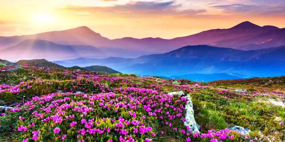 Photo of सैर करें उत्तरा