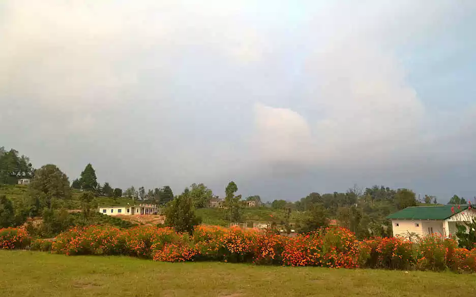 Photo of चौकोरी मंदिर