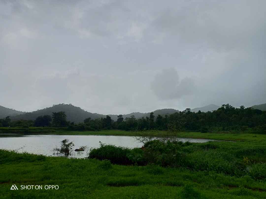 places to visit vasai west